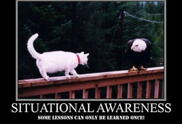 Situational Awareness