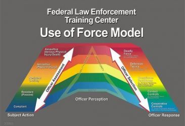 Use of Force